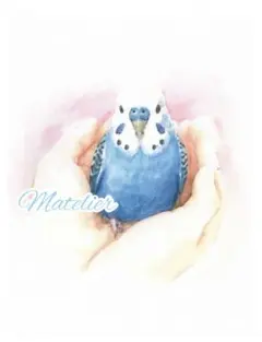 水彩画　原画　セキセイインコの絵　インコの絵　癒し　鳥の絵