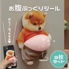 立体シール しば犬 お腹ぷにぷに 3D プレゼント おなか 3枚セット
