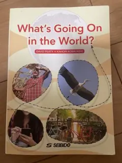 [値下げ可能]What's Going On in the World?