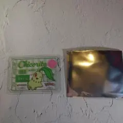 プロント ポケモンオリジナルクリアカード チコリータ