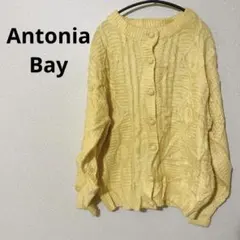 お得★ 長袖カーディガン ニットカーディガン イエロー 黄色 レディース 冬