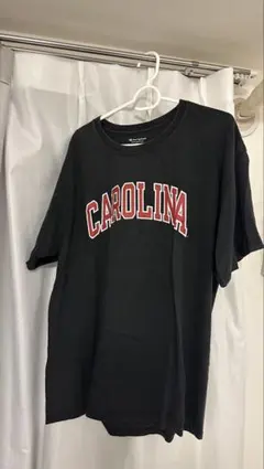 Champion チャンピオンTシャツ Lサイズ
