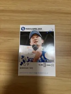 中日ドラゴンズ 岩崎翔 竜ブロマイド