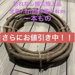 乾燥スライス椎茸】 産地直送 スライス椎茸750g 個包装150g×5袋 - メルカリ