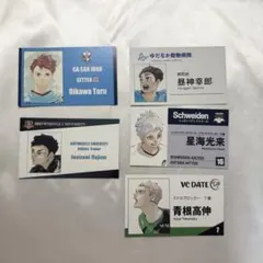 ハイキュー 名刺カードコレクション ファンパーク 及川徹 - メルカリ