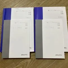 2026年最新】東進 トップレベル物理 苑田の人気アイテム - メルカリ