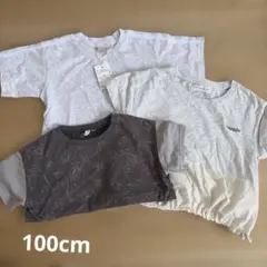 セット売り Tシャツ 100cm プティマイン　バースデイ