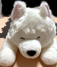 ホワイト犬のぬいぐるみ 約65cm