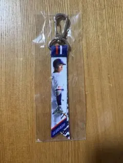 中日ドラゴンズ　上林誠知　ミニボンフィン