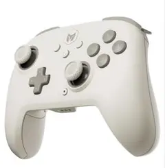 BIGBIG WON CHOCO Switch コントローラー