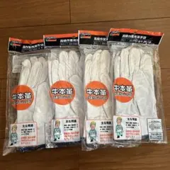 Item thumbnail for item 539d554b-654c-4800-9c72-50159f0acea5