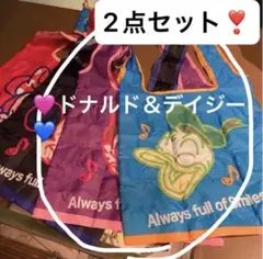 新品　ドナルドダック＆デイジーダック　ディズニーランド限定　エコバッグ　袋のみ
