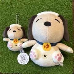 ゆゆぽぽ様 ご専用『ユーラシわん ぬいぐるみ大１個、小８個』