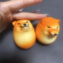 シバコ　スクィーズ2個セット