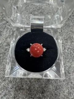 Pt900 血赤珊瑚 13.5ミリ ダイヤ0.29ct リング11.1g - メルカリ
