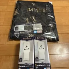 一番くじ Harry Potter Magical Holiday！　A E賞
