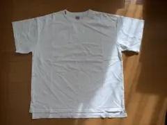 Healthknit The Tee XL 2019 セカンド