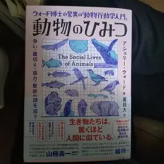 Item thumbnail for item e1ca553d-e175-4dd4-a0db-774cbc12392f