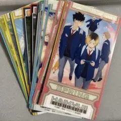 ハイキュー!! カード16枚セット