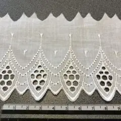 ホワイトレース生地 刺繍入り透かし模様