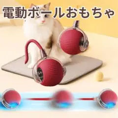 Item thumbnail for item 19befa47-3df5-466c-9579-b6ddb7a02b75