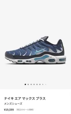 ナイキ エアマックス プラス メンズシューズ