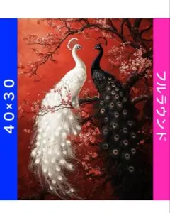 ダイヤモンドアートキットN-1382二羽の孔雀 ビーズ アート ハンドメイド