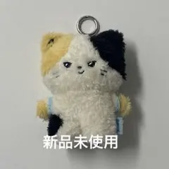 zeroni ゼロニ リニニ 星 ぬいぐるみ キーホルダー ZB1 リッキー Amazon.co.jp: ZEROBASEONE リッキー リニニ ぬいぐるみ キーホルダー