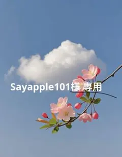 Sayapple101様 専用