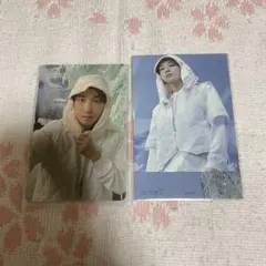 sector17 ウォヌ　2点セット