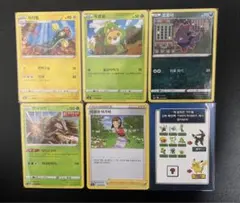 ポケモンカード　韓国版　ハングル　ゾロア、シビビールほか　海外版のサムネイル