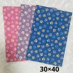 Item thumbnail for item 5cfb9e5e-28bc-4f38-b866-06a98b6e79d1