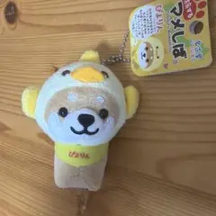 旅するマメしば まめた　ぴよりん 名古屋バージョン マスコット