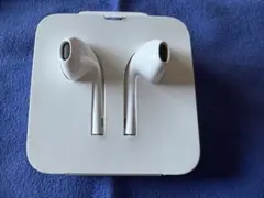 Apple EarPods with Lightning Connector