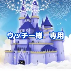 ウッチー様 リクエスト 3点 まとめ商品