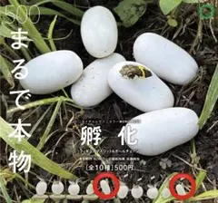 ネイチャーテクニカラー MONO PLUS 孵化 フィギュア(ヤマカガシ)