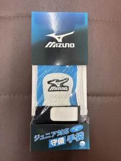 Item thumbnail for item ae1fd0af-2c28-41cf-867f-f2d662b8b1ff