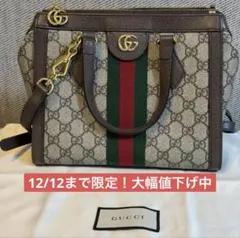 【正規店購入品】GUCCI オフディア 2way ショルダーバッグ
