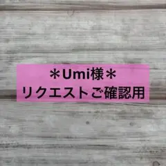 ＊Umi様ご確認様＊