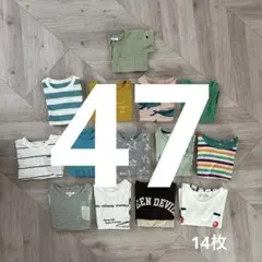 90 ZARA, H&M, Champion ほか 半袖Tシャツ １４枚セットのサムネイル