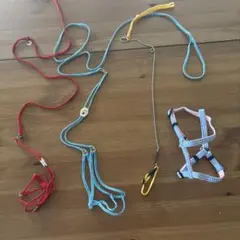 Item thumbnail for item dd423d05-0d65-4ab9-9767-8ba71e55ccc4