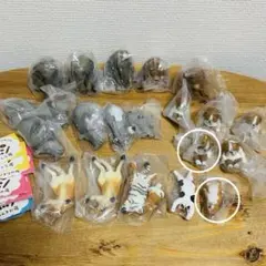 maas様　専用ページ