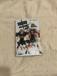 ハイキュー　公式カラーイラスト集　ハイカラ