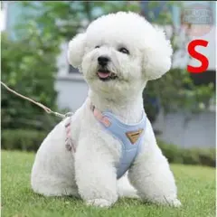 Item thumbnail for item 556585e0-d516-4ed4-82ac-f8e9747f4a16