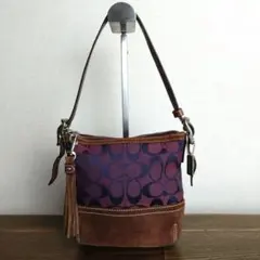 【COACH】コーチ ショルダーバッグ アクセサリーポーチ