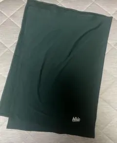 Item thumbnail for item 7b2595a3-b5b6-4a93-9b3e-de66666bc43b