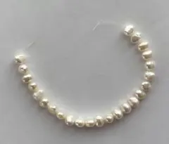 Item thumbnail for item 8f773d7d-985b-4f8e-8754-6cad4175c629