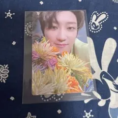 SEVENTEEN sector17 the8 ディエイト　トレカ