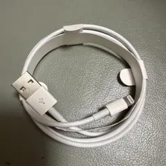 iPhone 充電器 純正 ライトニングケーブル 新品 Apple正規品5