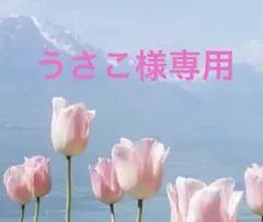 Item thumbnail for item b04f2309-f3e1-46b3-94a1-72f756299e3a